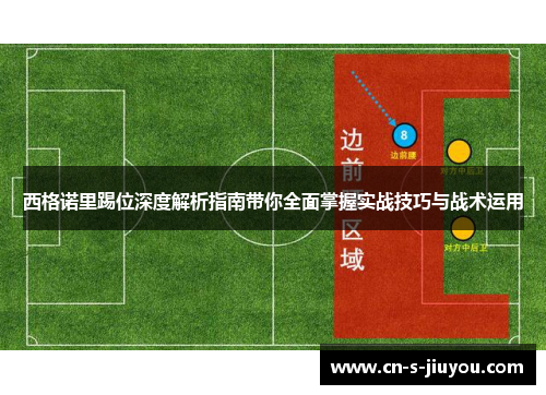 西格诺里踢位深度解析指南带你全面掌握实战技巧与战术运用