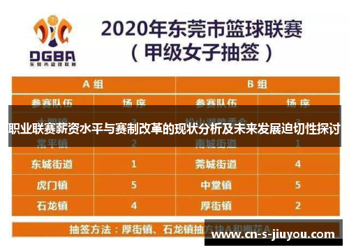 职业联赛薪资水平与赛制改革的现状分析及未来发展迫切性探讨